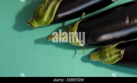 Fresh eggplants on green background with copy space organic vegetables Stock Photo