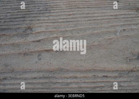Horizontal weathered wood texture with visible ridges and a dusty grey finish, a perfect organic background for graphic design and rustic overlays. Stock Photo