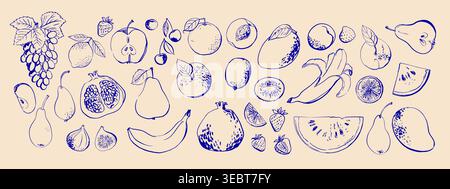 Hand drawn line illustration food vector. Fruits and berries. Farm food. Healthy eating Stock Vector