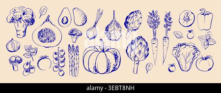 Hand drawn line food illustration vector. Vegetables and herbs, spices. Farm food. Healthy eating Stock Vector