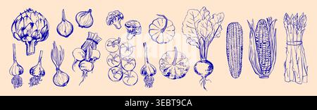 Hand Drawn Colorful Vegetables - Sketch Style Vector Set Stock Vector