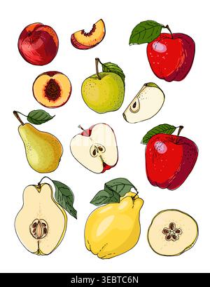 Vector sketch food. Fruits, apples, nectarine, peach, pears Stock Vector