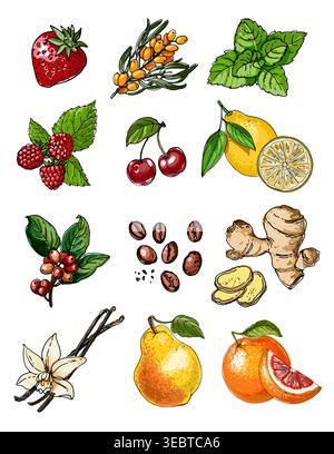 Vector sketch food. Fruits and berries icons. Strawberry, lemon, coffee, ginger, pear, vanilla, mint Stock Vector