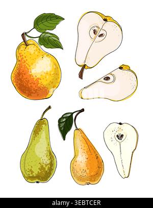 Vector sketch food. Fruits, pears. Long pears Stock Vector