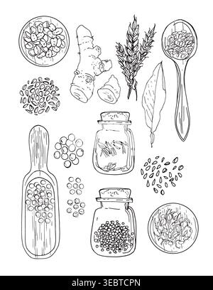 Vector sketch food. Vegetables and herbs. Spices in glass jars, wooden boat Stock Vector