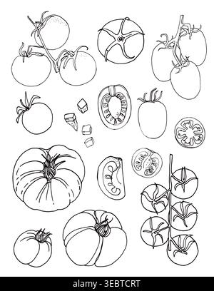 Vector sketch food. Tomatoes, cherry Stock Vector
