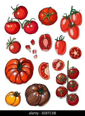 Vector sketch food. Tomatoes, cherry Stock Vector