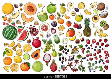 ood vector icons color sketch. Fruits, berries, exotic food, citrus fruits. Orange, coconut, cherry Stock Vector