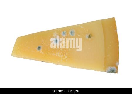 A Top View of a Moldy Cheese Slice Highlighting Unique Texture and Color Variations Stock Photo