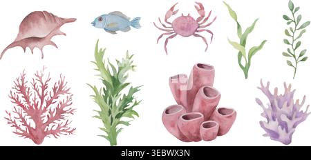 Watercolor marine life set with sea fish, crab, seashells and coral reef elements on white background. Hand drawn illustration. Vector EPS. Stock Vector
