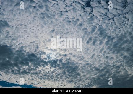 A wide, full-frame view of a blue sky filled with a dense pattern of small, white altocumulus clouds. The sun peeks through the textured cloud layer, Stock Photo