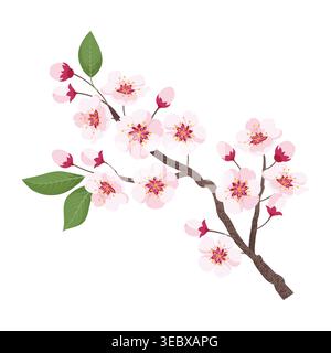 Cherry flowering blossom branch. Vector illustration in hand-drawn flat style Stock Vector