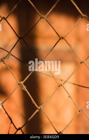 A detailed, close-up photograph of a weathered, rusted wire chain link fence, illuminated by warm, golden hour sunlight. The texture of the metal is p Stock Photo