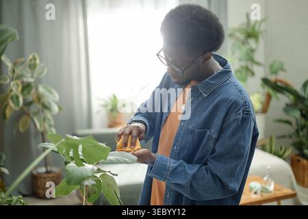 Black Man Cleaning Houseplant Leaves for Home Care Marketing Stock Photo