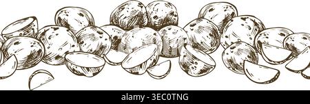 Potato vegetables hand drawn in ink pen style illustration. Graphic artistic line art design for vegetable store, food packaging, harvest festival Stock Vector