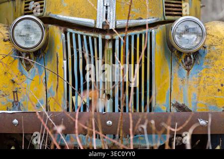 Close-up view of a vintage truck outdoors in a rural setting, showing fading paint, peeling sheet metal, rusted edges, and worn details that reveal ye Stock Photo