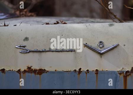 Close-up view of a vintage truck outdoors in a rural setting, showing fading paint, peeling sheet metal, rusted edges, and worn details that reveal ye Stock Photo