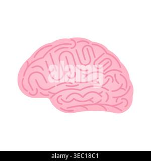 Brain. Human Brain. Vector Illustration Isolated on White Background. Stock Vector