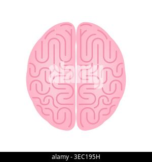 Brain. Human Brain. Vector Illustration Isolated on White Background. Stock Vector