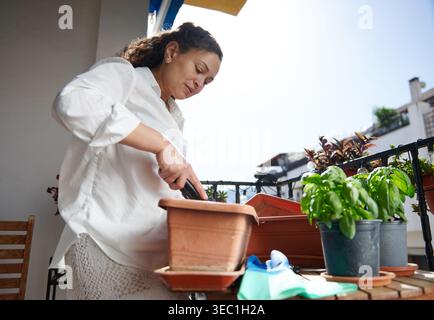 Woman tending potted herbs on an urban balcony, planting soil into terracotta containers on a sunny day, conveying calm home gardening, relaxation and Stock Photo