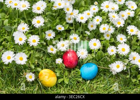 Four colorful Easter eggs in red, yellow, blue and green placed among blooming daisies in a sunny spring meadow. Natural sunlight creates soft shadows Stock Photo