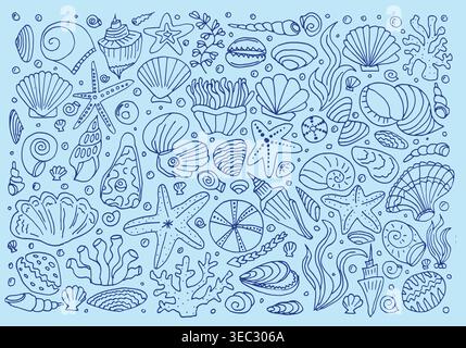 Shell doodle vector with sea beach summer and illustration ocean design. Seashell nature water with vintage shell outline and sketch set travel Stock Vector