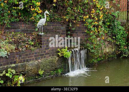 Heron statue beside brick waterfall in overgrown canal garden Stock Photo