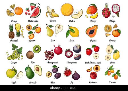 Vector food icons of fruits. Colored sketch of food products. exotic fruits, melon, figs, kiwi Stock Vector