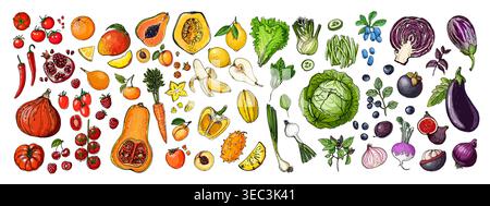 Food vector Rainbow vegetables and fruits, berries. vector sketch of food. Pumpkins, apples, bananas, cabbage, tomatoes. Stock Vector