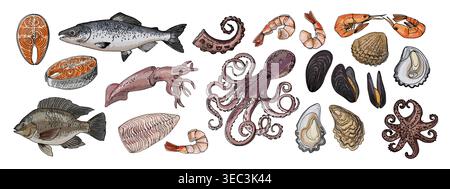 Food vector Sea drawing of food. Red and white fish, Tilapia, squid, salmon, oysters, mussels, shrimps, octopus Stock Vector