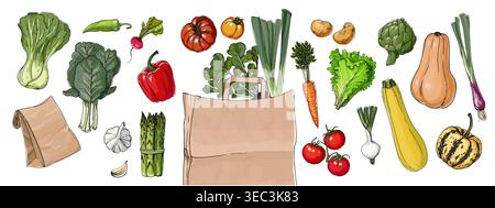 Food vector delivery of vegetables and herbs. Pumpkin, onion, herbs, tomatoes, pak choi Stock Vector