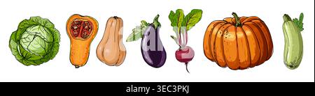 Hand Drawn line Vegetables Sketch Style Vector Set Stock Vector