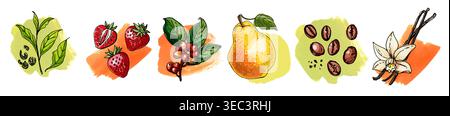 Hand Drawn Vector Set Berries, Fruits, Spices and Coffee Beans Stock Vector