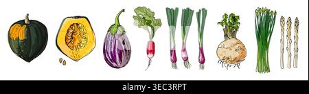 Hand Drawn line Vegetables Sketch Style Vector Set Stock Vector