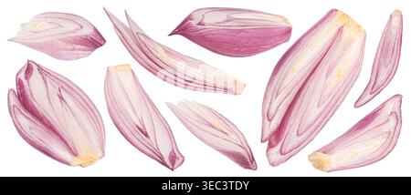 Shallot slices, chopped red onion isolated on white background Stock Photo