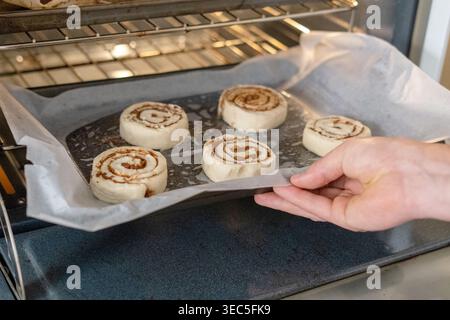 Hand placing raw cinnamon rolls on baking tray into oven, homemade baking process in kitchen Stock Photo