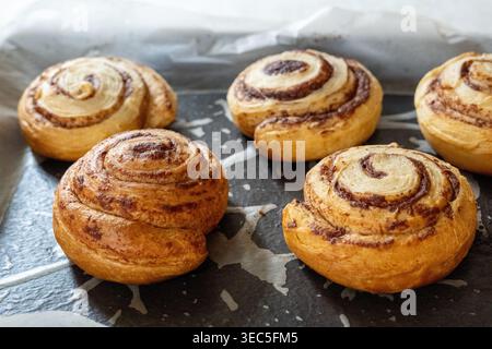 Fresh baked cinnamon rolls on baking tray with parchment paper, homemade pastry dessert ready to eat Stock Photo