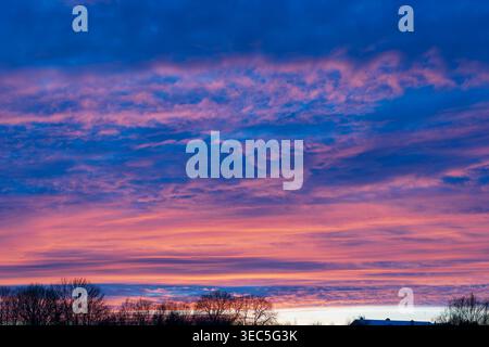 Beautiful evening sky featuring layers of vibrant pink and blue cirrus clouds at sunset over a dark silhouette of trees on the horizon. Stock Photo