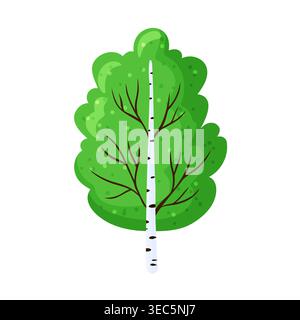 Cartoon illustration of a tall green birch tree with white bark trunk, visible branches and lush round green foliage, isolated on white background, na Stock Vector