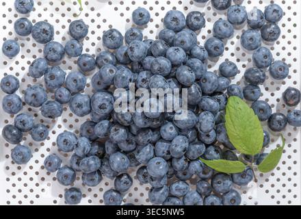 Fresh blueberries scattered on dotted surface top view natural fruit texture background Stock Photo