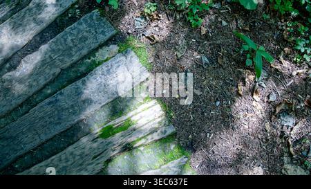 Overhead view of weathered wooden planks covered with moss on a forest floor in Karuizawa. Diagonal lines and rich organic texture create a strong abstract composition. Stock Photo