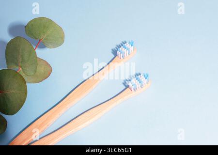 Two bamboo toothbrushes with eucalyptus leaves on blue background. Top view, flat lay. Stock Photo