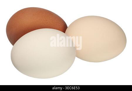 Three chicken eggs isolated on white background Stock Photo