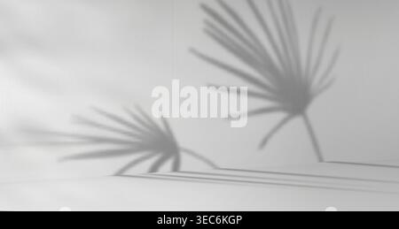Palm leaves shadow on white wall and floor background, realistic vector illustration. Natural light effect in clean studio space, tropical leaf silhouettes overlay, product display minimalist backdrop Stock Vector