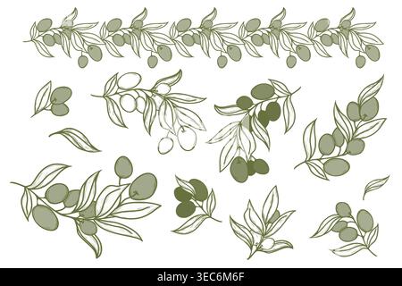 Hand drawn vector collection of olive branches with leaves and fruit in green tones. Botanical elements for menu, label, and healthy food packaging. Stock Vector