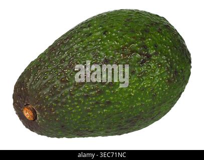 Avocado fruit isolated on white background Stock Photo