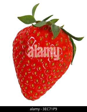 Close-up of a fresh strawberry isolated on white background Stock Photo