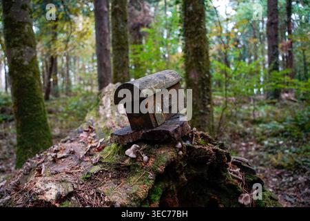 Weathered Miniature Fairy House On Forest Stump With Wild Mushrooms Belleek Woods Ireland Stock Photo