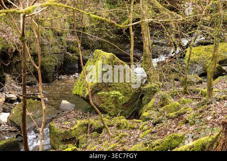 Cubical-shaped rock, stream, Melincourt Waterfalls Nature Reserve, Melincourt, Neath, Wales, Great Britain Stock Photo