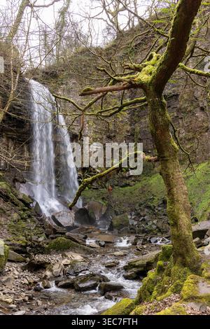 Wasserfall, Baum, Melincourt Waterfalls Nature Reserve, Melincourt, Neath, Wales, Großbritannien | Waterfall, tree, Melincourt Waterfalls Nature Reser Stock Photo